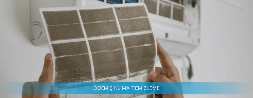 Ödemiş İlçemi Beko Klima Temizleme